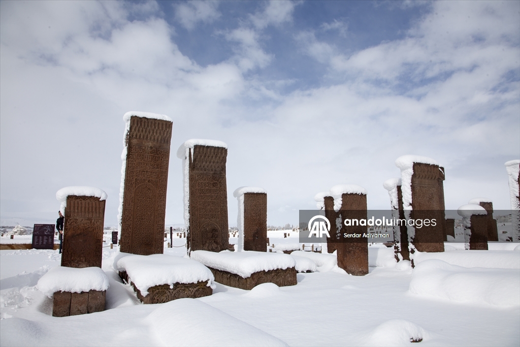 Bitlis'te tarihi yapılar karla kaplandı
