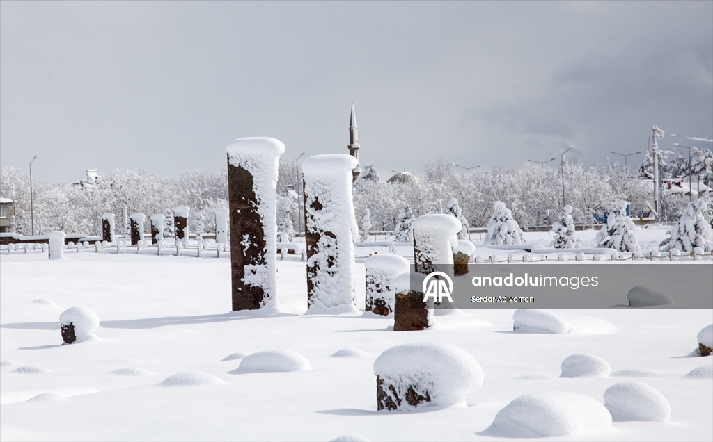 Bitlis'te tarihi yapılar karla kaplandı