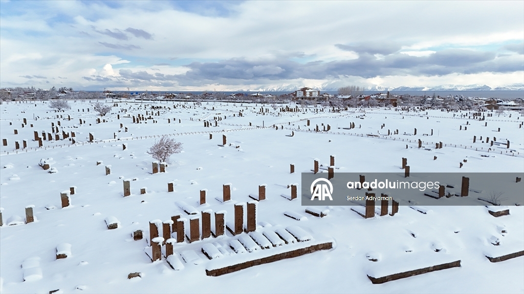 Bitlis'te tarihi yapılar karla kaplandı