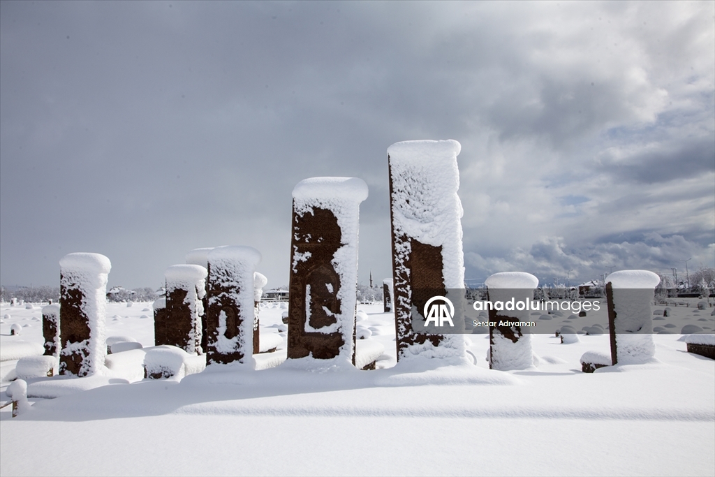 Bitlis'te tarihi yapılar karla kaplandı