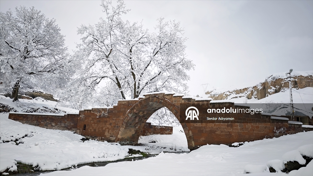 Bitlis'te tarihi yapılar karla kaplandı