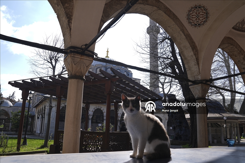 جامع "الوالدة العتيق".. لؤلؤة معمارية تزين الشطر الآسيوي بإسطنبول