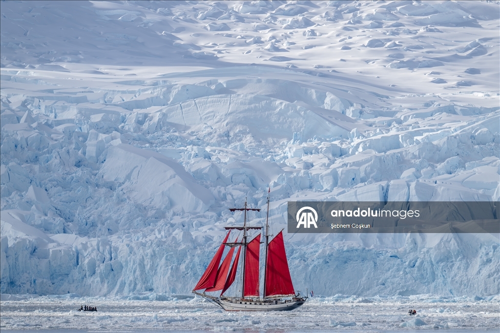 Antarktika’da doğal yaşam, plastik atıklar ve iklim baskısı altında