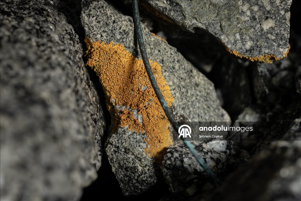 Antarktika’da doğal yaşam, plastik atıklar ve iklim baskısı altında