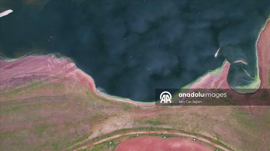 Kabaklı Göleti’nde yağışlarla su seviyesi yükseldi, kuşlar geri döndü