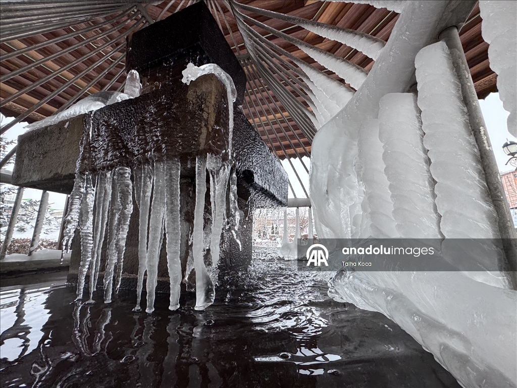 Erzurum'da soğuk hava