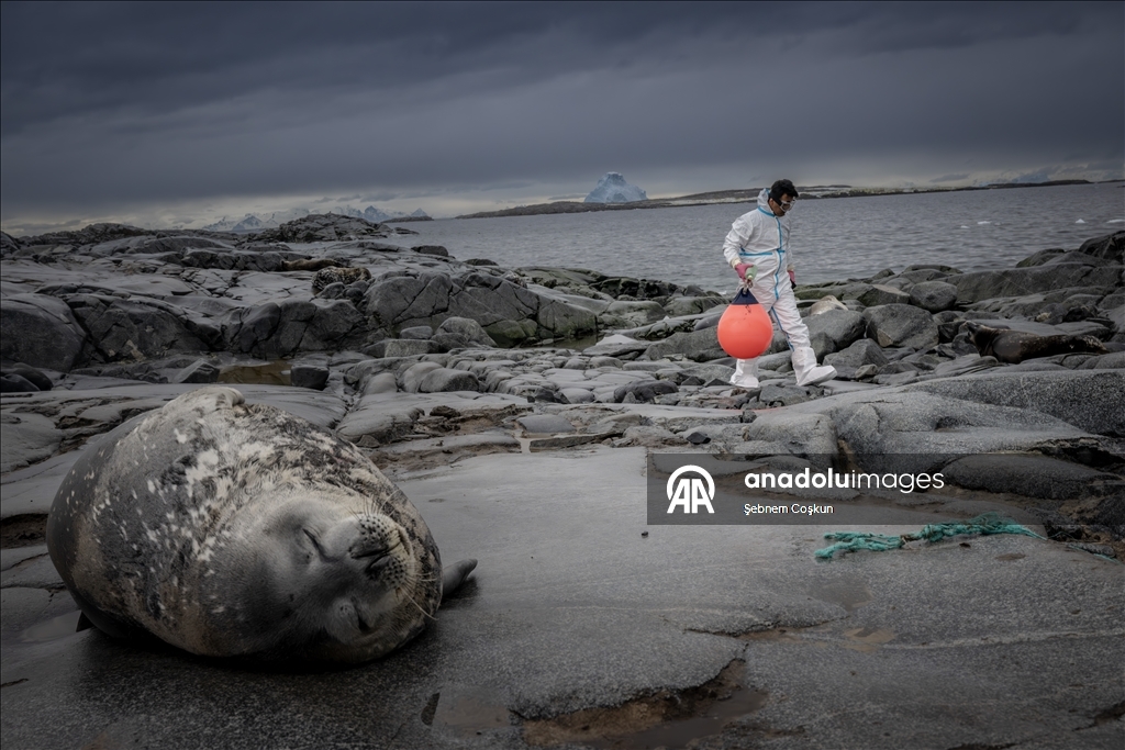 Antarktika’da doğal yaşam, plastik atıklar ve iklim baskısı altında