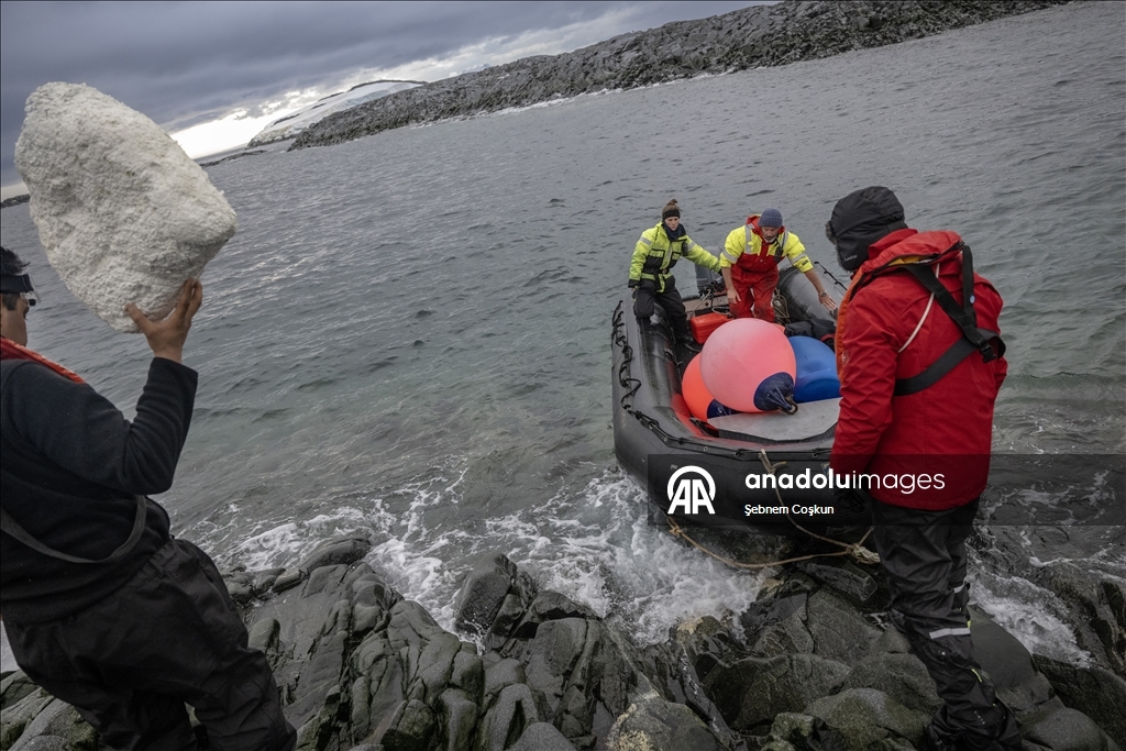 Природа Антарктиды под давлением пластиковых отходов