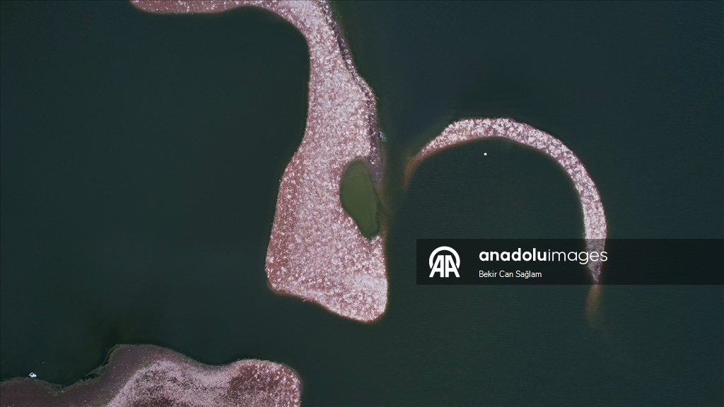 Kabaklı Göleti’nde yağışlarla su seviyesi yükseldi, kuşlar geri döndü