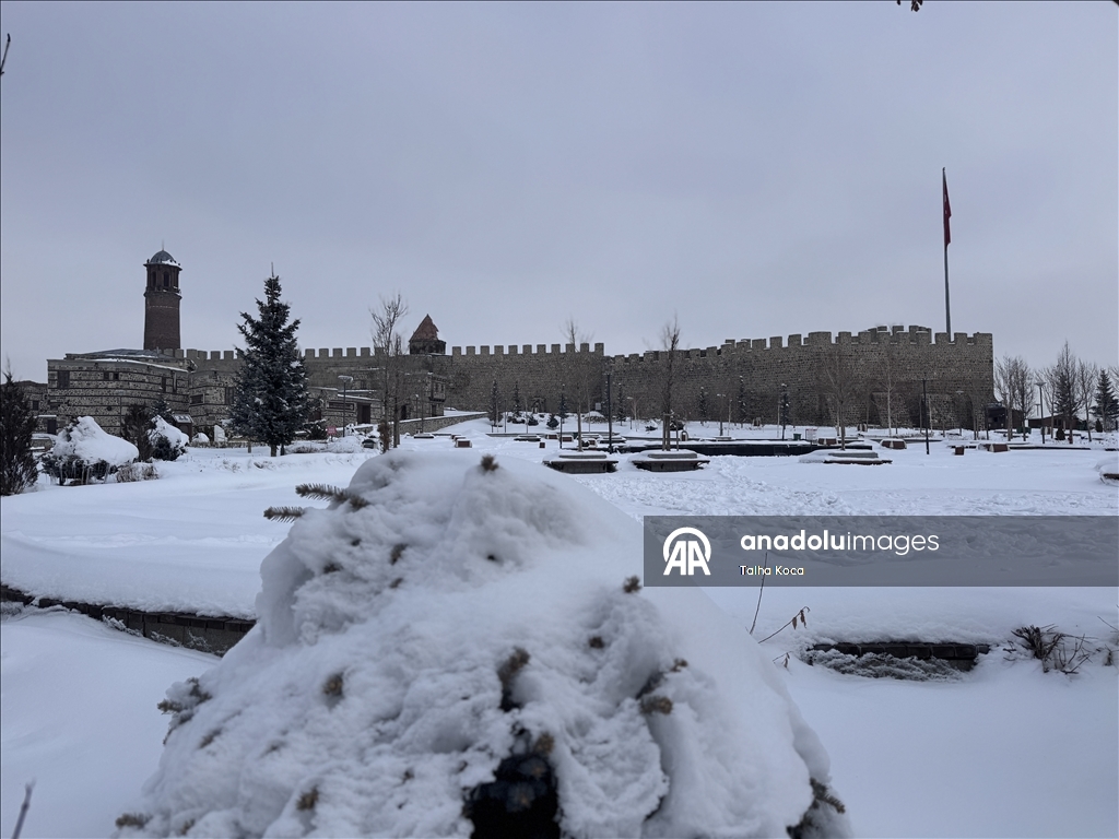 Erzurum'da soğuk hava