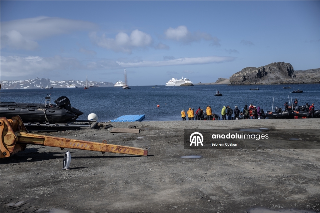 Природа Антарктиды под давлением пластиковых отходов