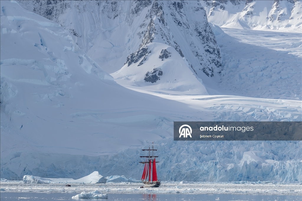 Antarktika’da doğal yaşam, plastik atıklar ve iklim baskısı altında