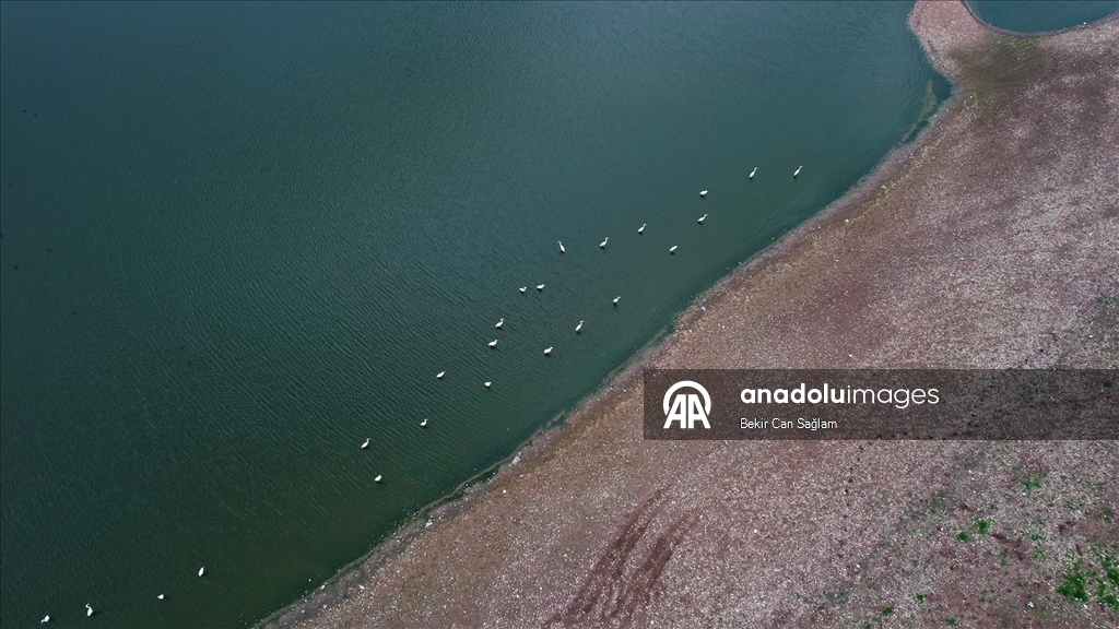 Kabaklı Göleti’nde yağışlarla su seviyesi yükseldi, kuşlar geri döndü