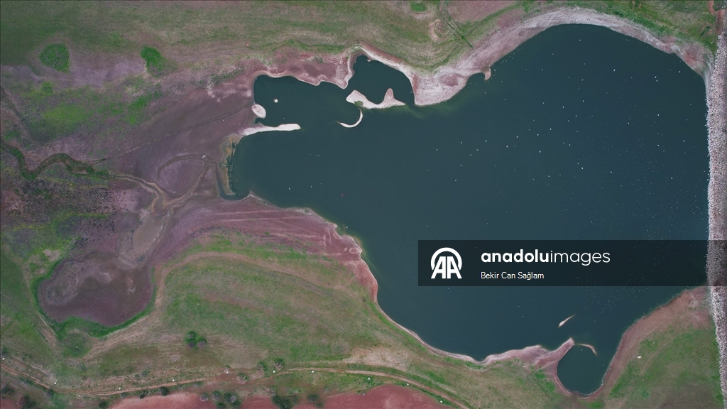 Kabaklı Göleti’nde yağışlarla su seviyesi yükseldi, kuşlar geri döndü