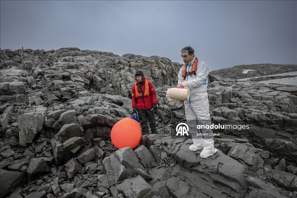 Природа Антарктиды под давлением пластиковых отходов