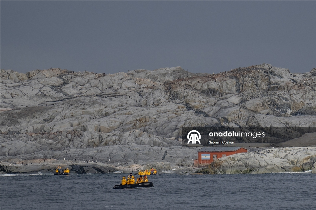 Antarktika’da doğal yaşam, plastik atıklar ve iklim baskısı altında