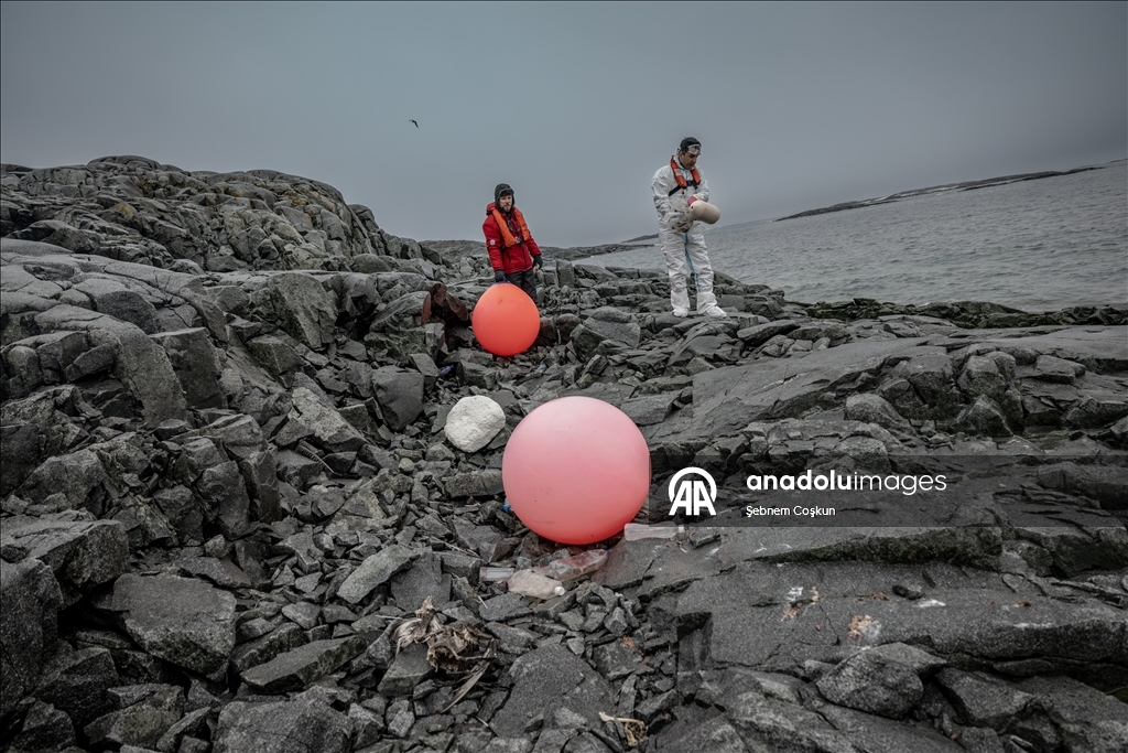 Природа Антарктиды под давлением пластиковых отходов