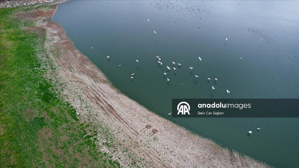 Kabaklı Göleti’nde yağışlarla su seviyesi yükseldi, kuşlar geri döndü