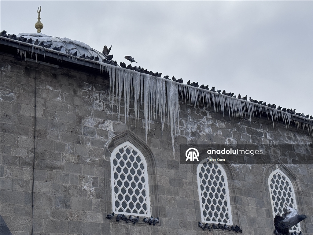 Erzurum'da soğuk hava