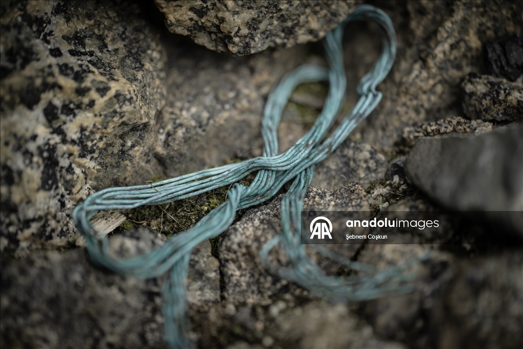 Природа Антарктиды под давлением пластиковых отходов