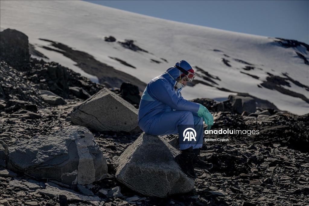 Antarktika’da doğal yaşam, plastik atıklar ve iklim baskısı altında