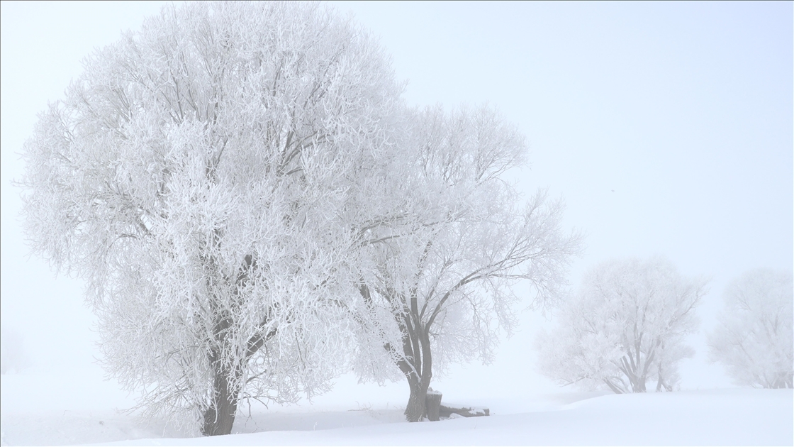 Doğu Anadolu'da dondurucu soğuklar etkili oluyor
