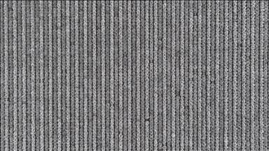 California'da badem ağaçları çiçek açtı