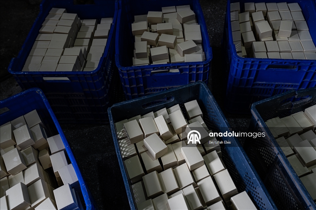 Nizip’te geleneksel yöntemlerle üretilen zeytin sabunu yerli ve yabancı pazarlarda talep görüyor