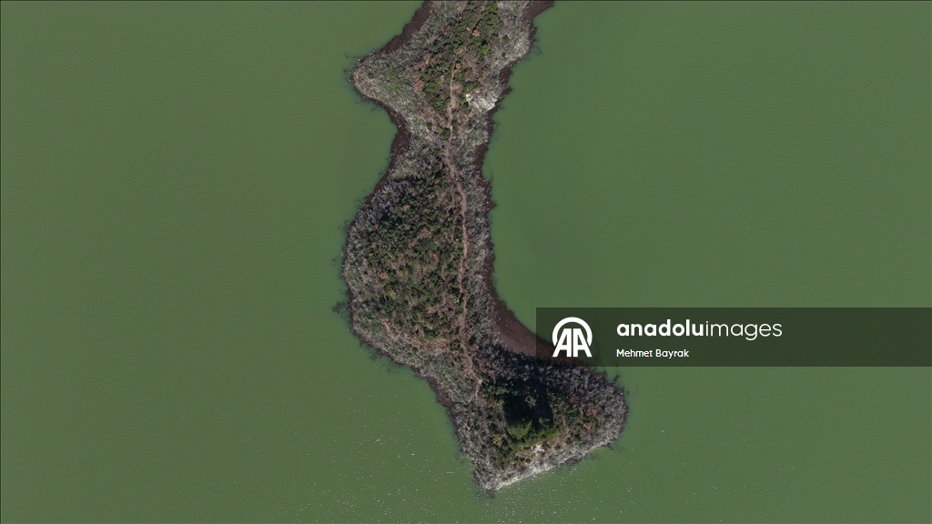 Yazı kurak geçiren Hatay'da barajlar mevsim yağışlarıyla toparlandı