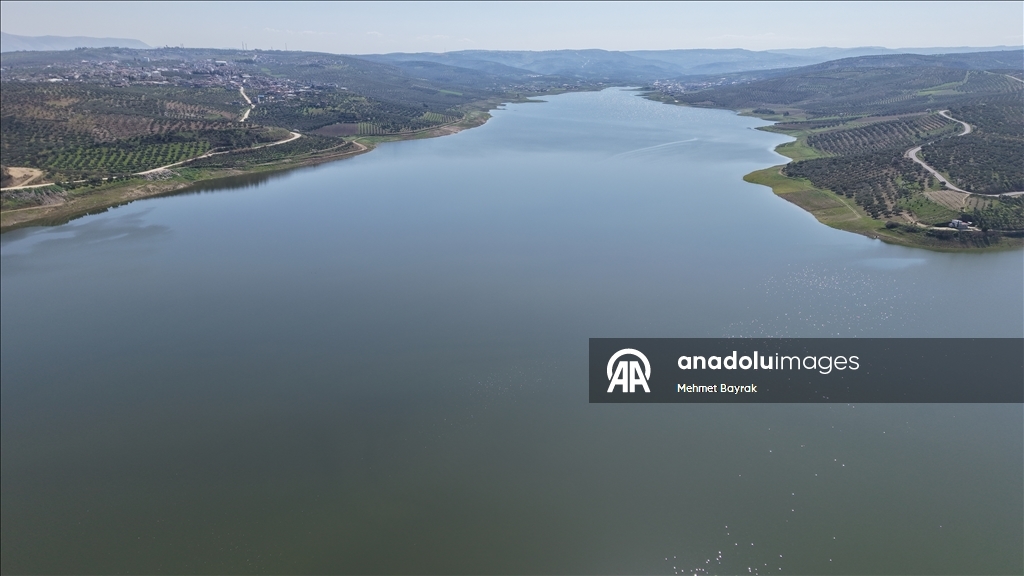 Yazı kurak geçiren Hatay'da barajlar mevsim yağışlarıyla toparlandı