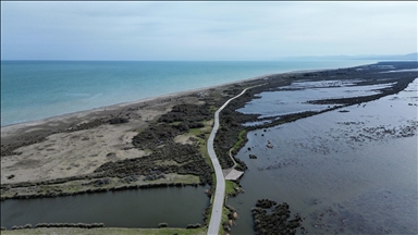 UNESCO listesindeki Kızılırmak Deltası su seviyesinin artmasıyla canlanmaya başladı