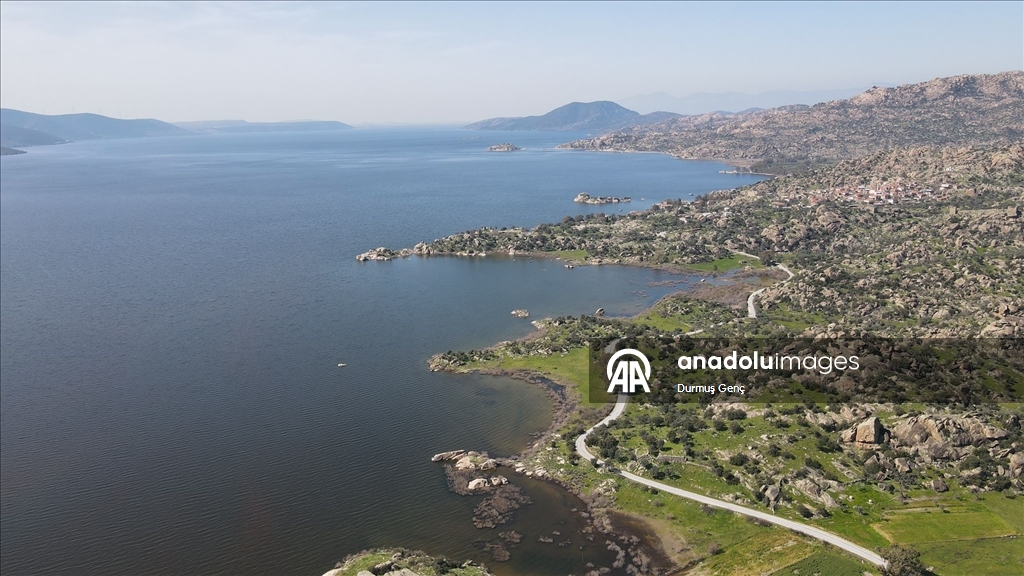 Son yağışlarla su seviyesi yükselen Bafa Gölü'nde balık çoğaldı