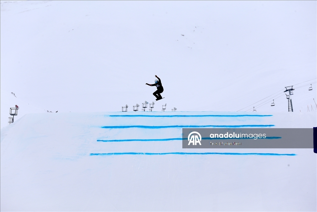 Кубок мира по сноуборду