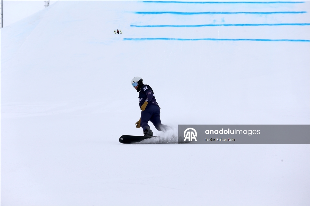 Кубок мира по сноуборду