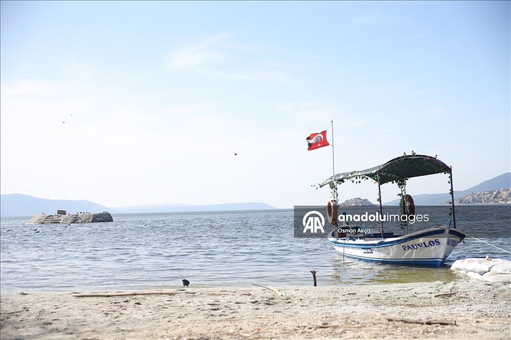 Son yağışlarla su seviyesi yükselen Bafa Gölü'nde balık çoğaldı