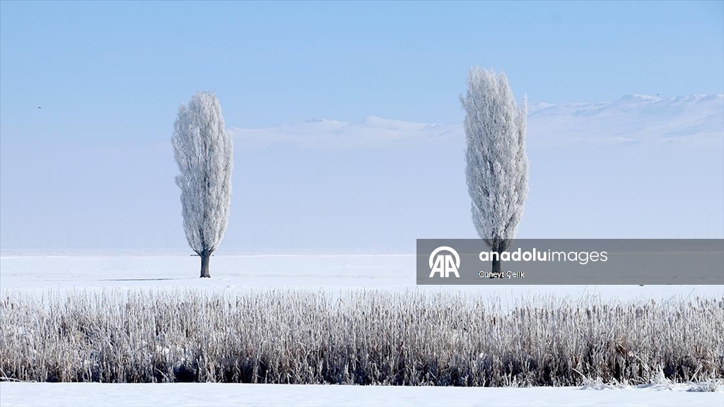 В многих регионах Турции наблюдается снег и холодная погода