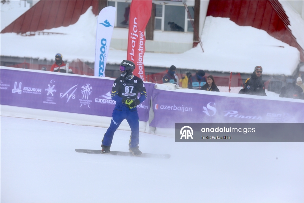 Кубок мира по сноуборду