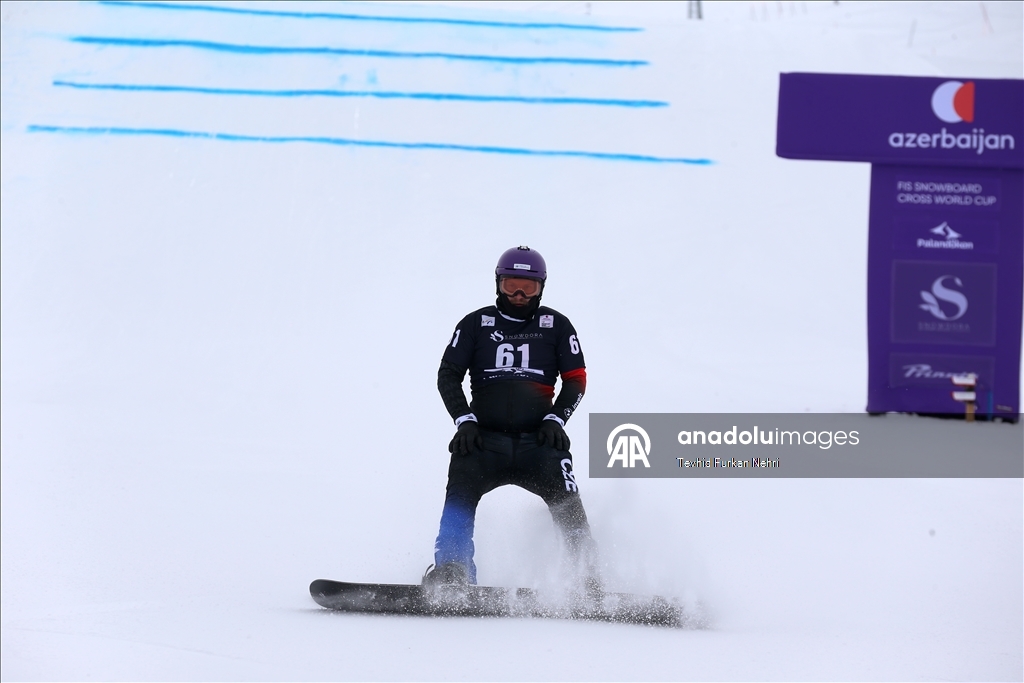 Кубок мира по сноуборду