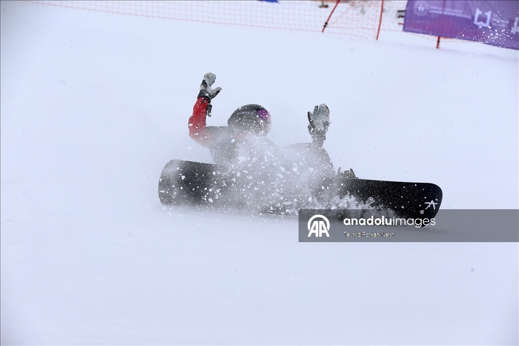 Кубок мира по сноуборду