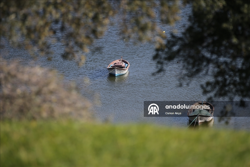 Son yağışlarla su seviyesi yükselen Bafa Gölü'nde balık çoğaldı