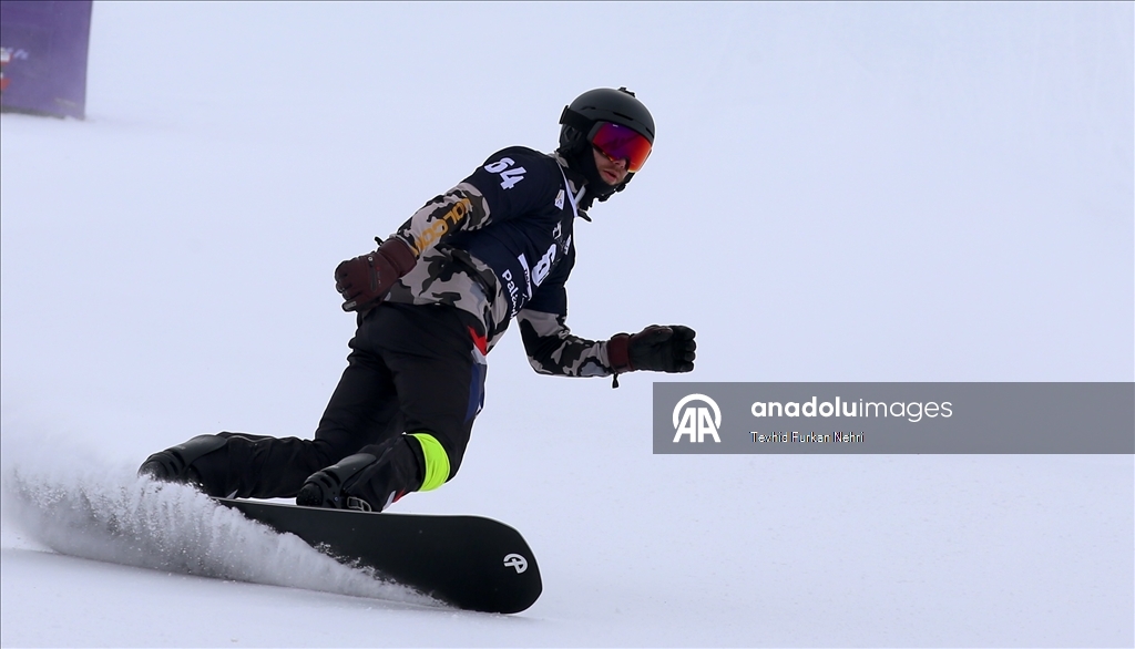 Кубок мира по сноуборду