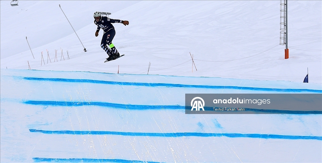 Кубок мира по сноуборду