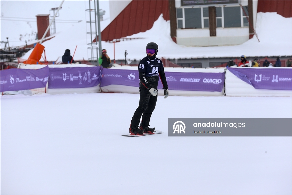 Кубок мира по сноуборду