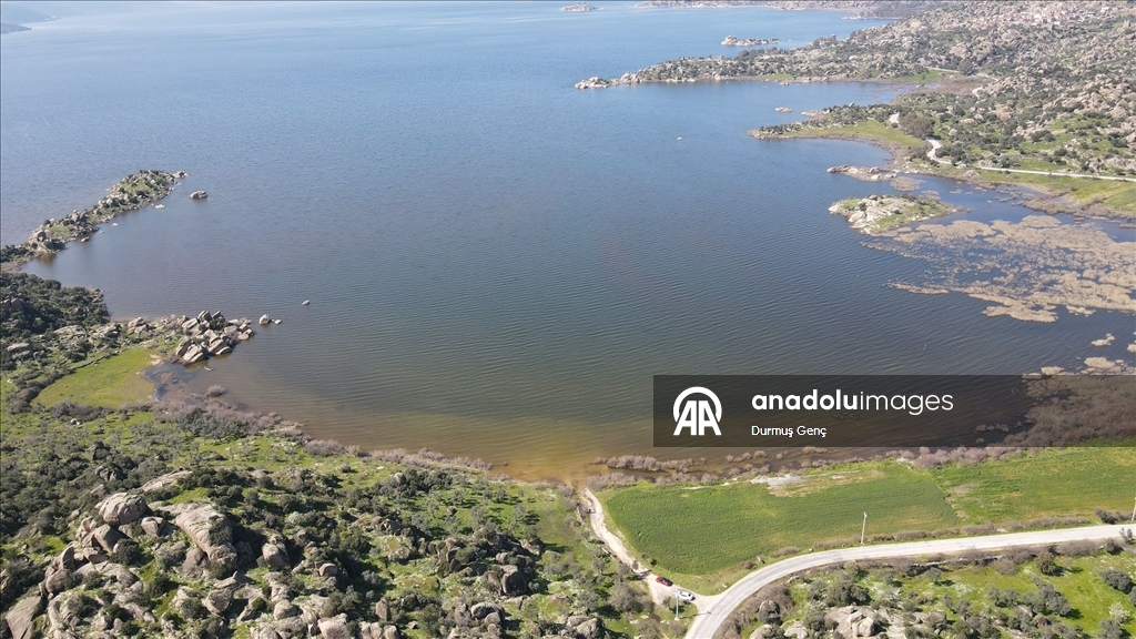 Son yağışlarla su seviyesi yükselen Bafa Gölü'nde balık çoğaldı