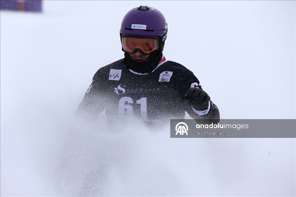 Кубок мира по сноуборду