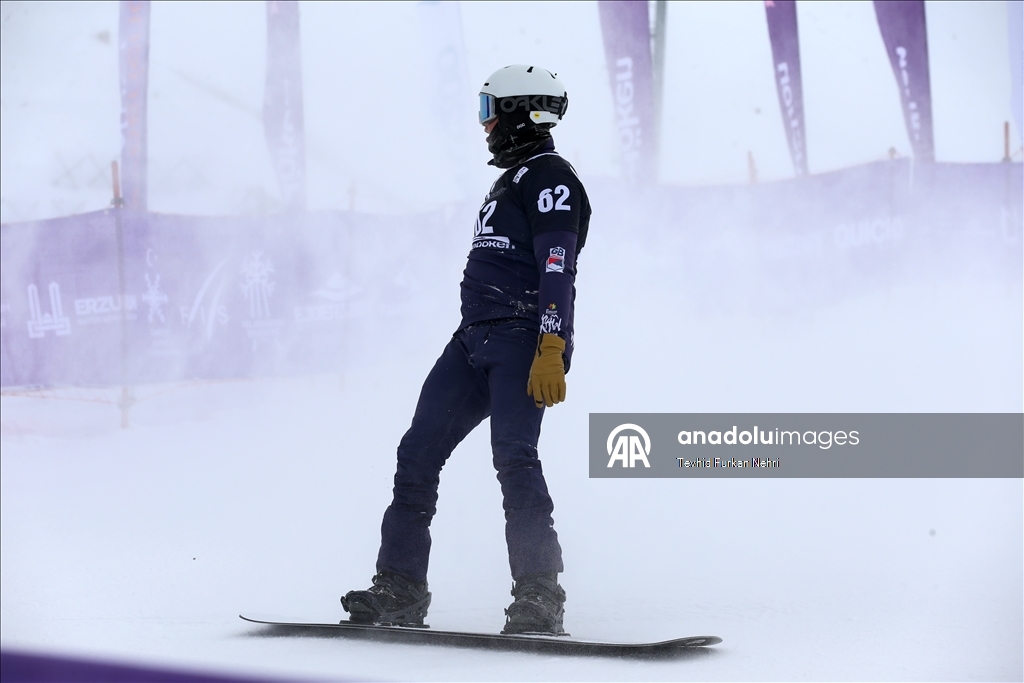 Кубок мира по сноуборду