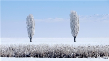В многих регионах Турции наблюдается снег и холодная погода