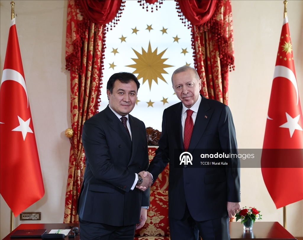 Cumhurbaşkanı Recep Tayyip Erdoğan