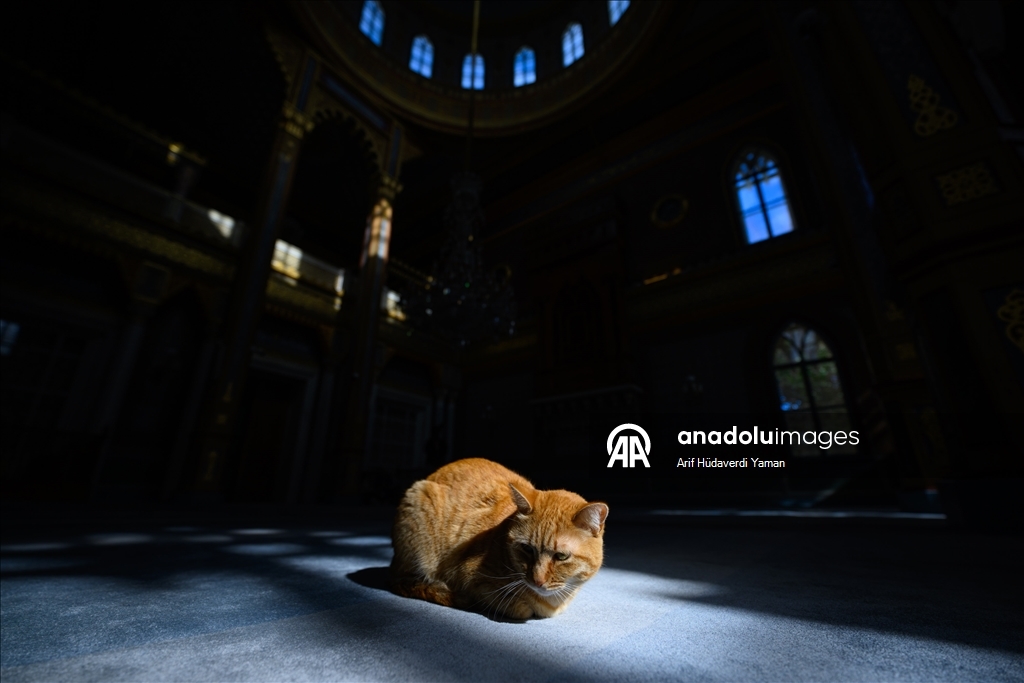 جامع "يلدز" بإسطنبول.. سحر العمارة العثمانية وبصمة عبد الحميد