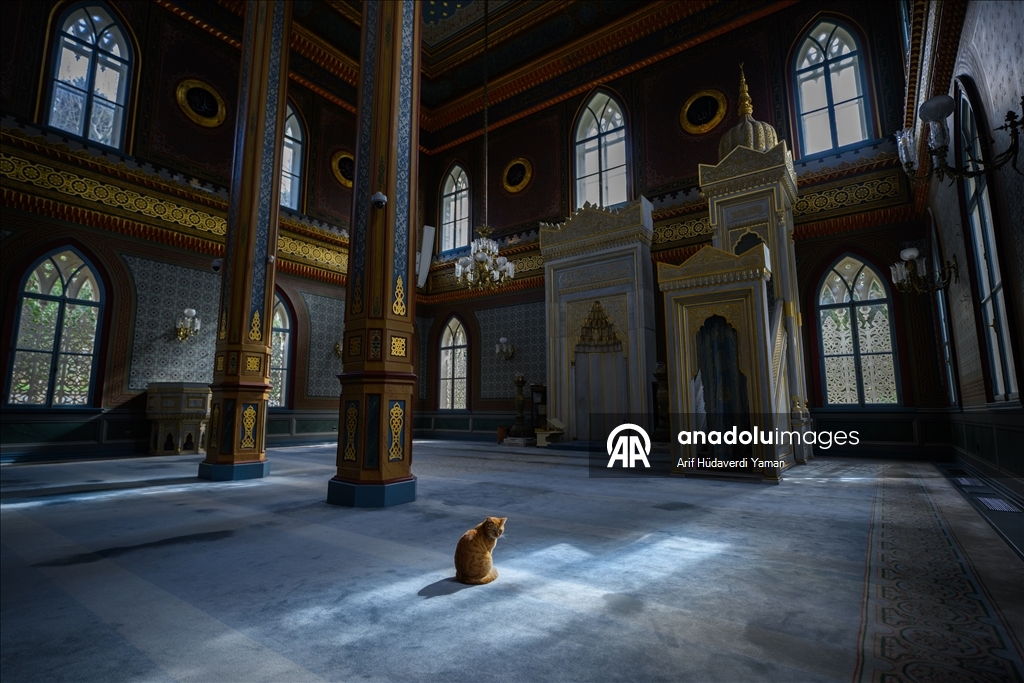 جامع "يلدز" بإسطنبول.. سحر العمارة العثمانية وبصمة عبد الحميد